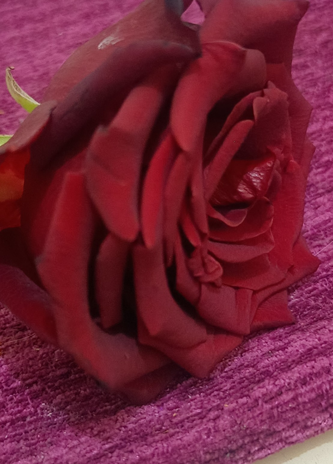 Sibel Fotoğraf 6